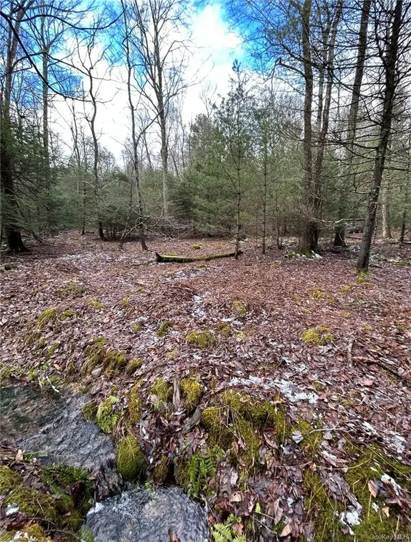 145 Brandt RD, Cuddebackville, NY 12729