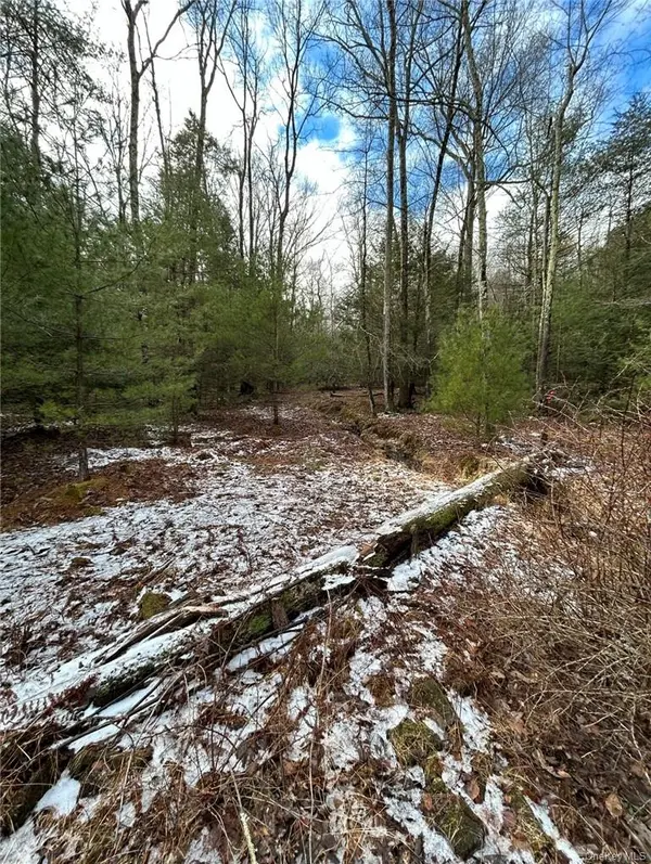145 Brandt RD, Cuddebackville, NY 12729