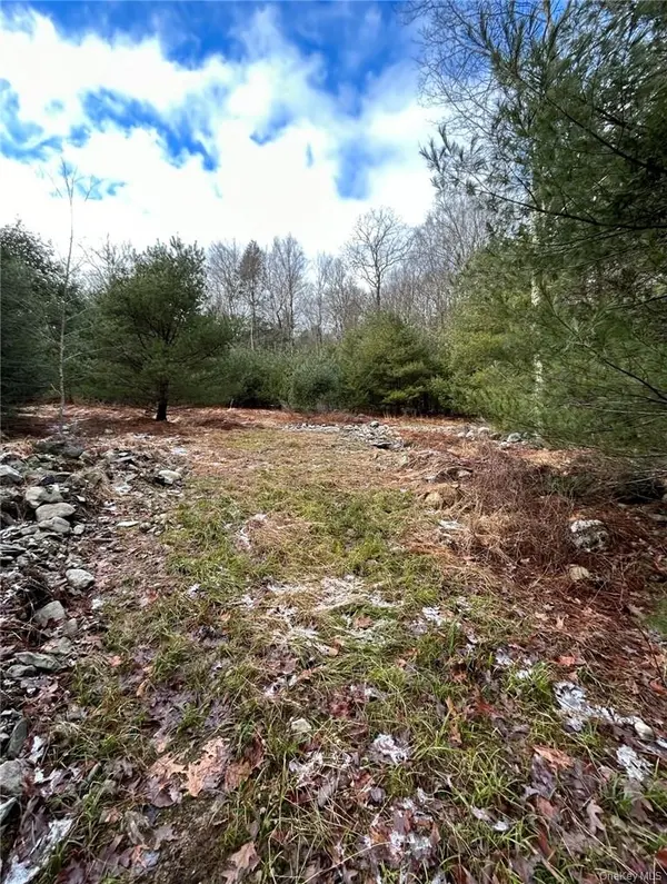 143 Brandt RD, Cuddebackville, NY 12729