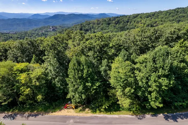 150 Mountaineer Trail, Sevierville, TN 37862
