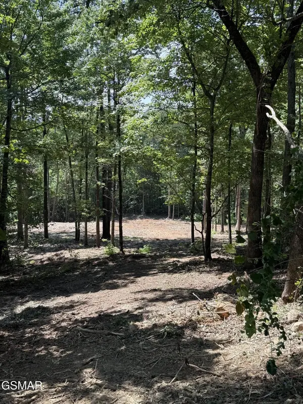 150 Mountaineer Trail, Sevierville, TN 37862