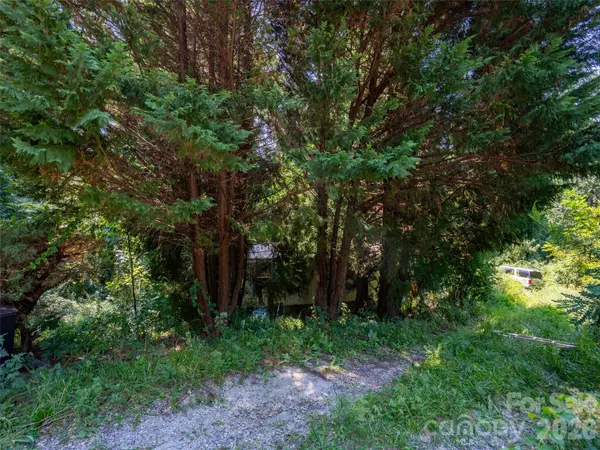 154 Pacolet ST, Saluda, NC 28773