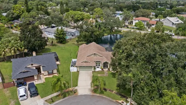 1650 WINNERS CIR, Tarpon Springs, FL 34689