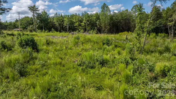817 Drucilla Church RD, Nebo, NC 28761