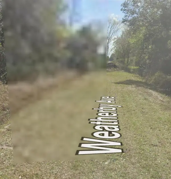 10160 WEATHERBY AVE, Hastings, FL 32145