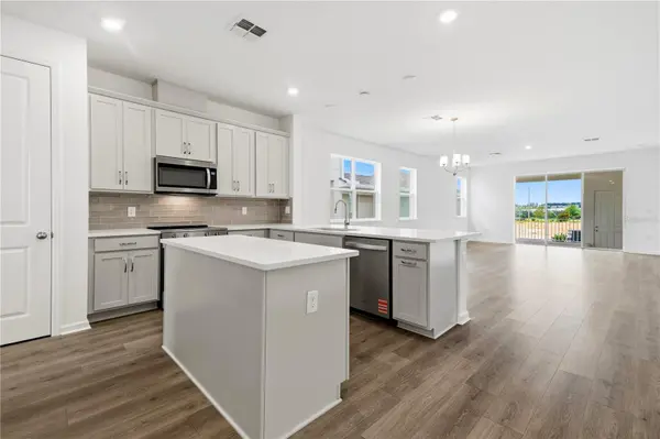 17049 HAGGERTY HOLLOW DR, Winter Garden, FL 34787