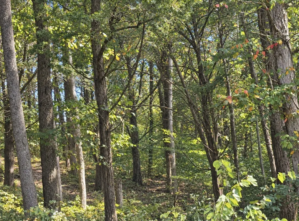 0 Bay Dr, Lancaster, TN 38569