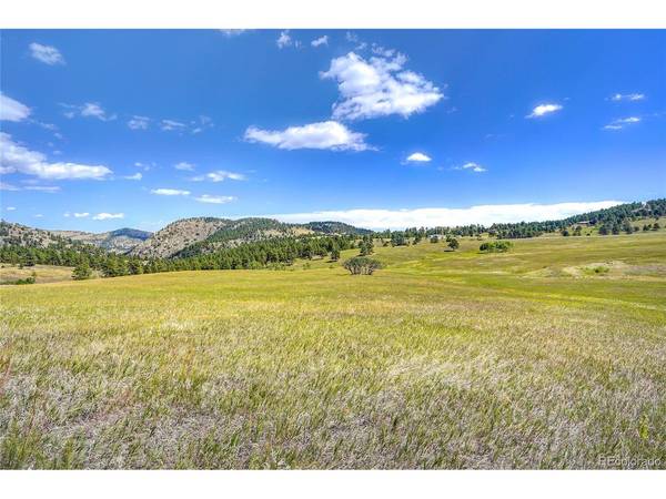 4501 Lakota, Indian Hills, CO 80454