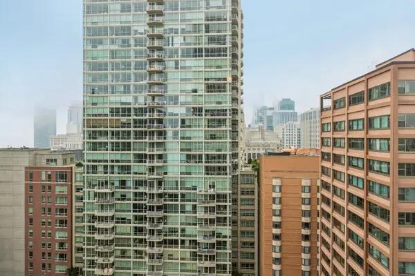 260 E CHESTNUT ST #2505, Chicago, IL 60611