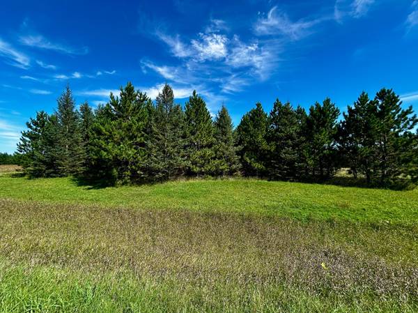 TBD 560th, New York Mills, MN 56567