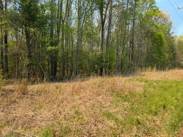 0 Ironsburg Road, Tellico Plains, TN 37385