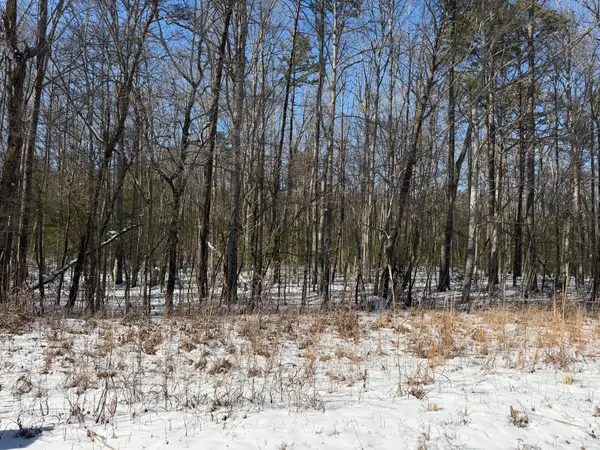 0 Ironsburg Road, Tellico Plains, TN 37385
