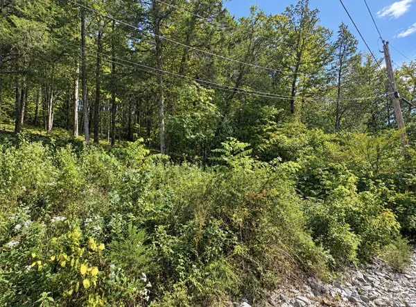 0 Bay Dr, Lancaster, TN 38569