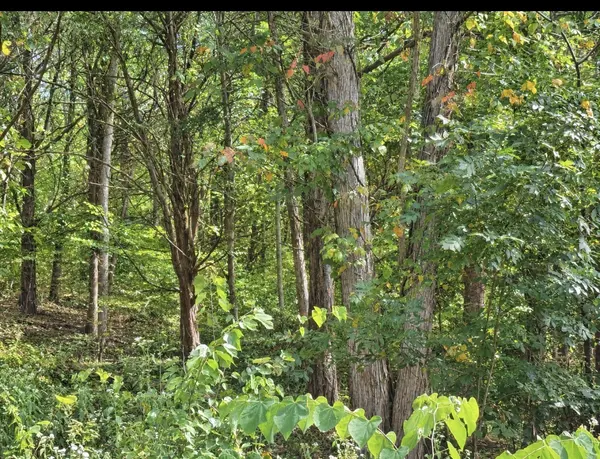 0 Bay Dr, Lancaster, TN 38569