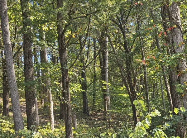 0 Bay Dr, Lancaster, TN 38569