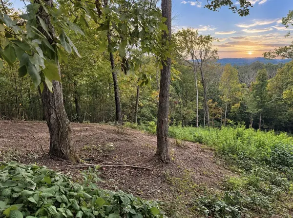 0 Lake Meadow Dr, Smithville, TN 37166