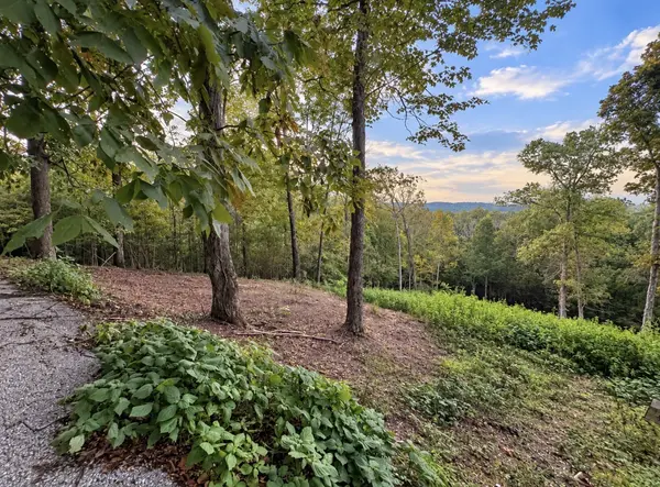 0 Lake Meadow Dr, Smithville, TN 37166