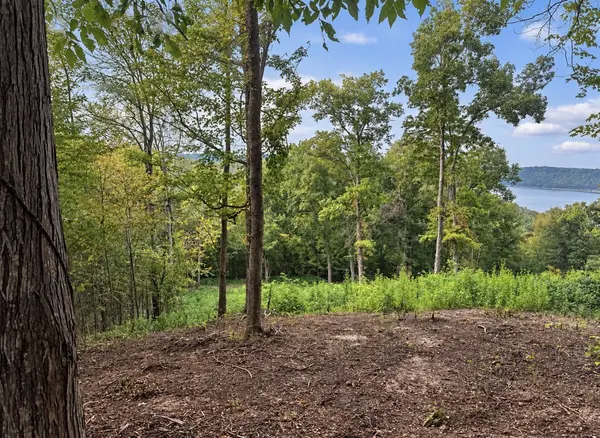 0 Lake Meadow Dr, Smithville, TN 37166