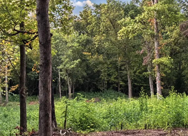 0 Lake Meadow Dr, Smithville, TN 37166