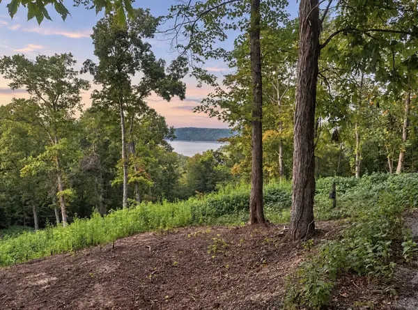 0 Lake Meadow Dr, Smithville, TN 37166