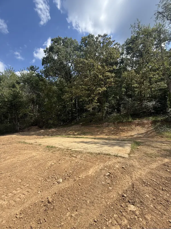 0 Hinson Street, Hohenwald, TN 38462