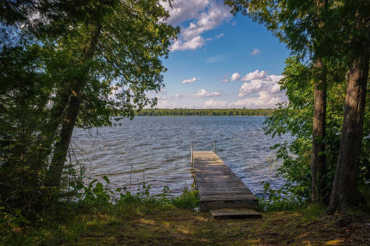 29453 Timberwolf RD NE, Pennington, MN 56663