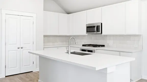 210 Palm Warbler PASS, Kyle, TX 78640