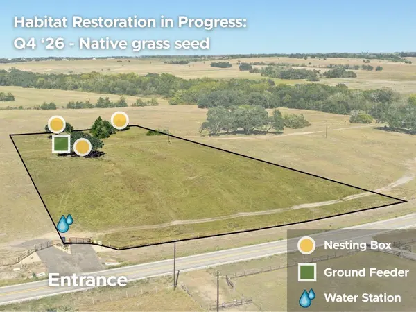 2955 FM 956, Schulenburg, TX 78956