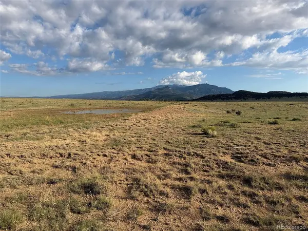 190 Black Hills, Gardner, CO 81040