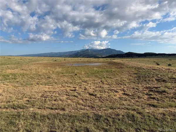 190 Black Hills, Gardner, CO 81040