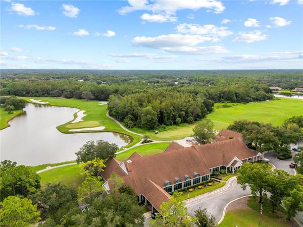 8746 TANTALLON CIR, Tampa, FL, 33647 photo 89