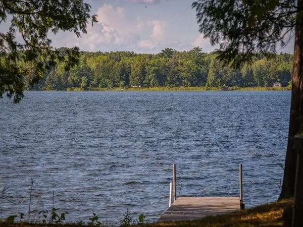 29453 Timberwolf RD NE, Pennington, MN 56663