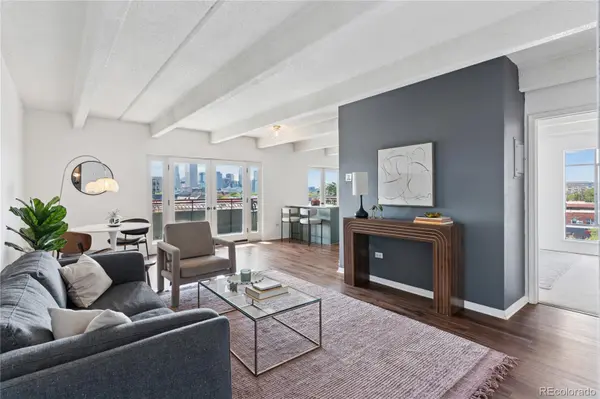 1441 N Humboldt ST #505, Denver, CO 80218