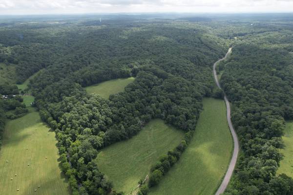 6 N Lick Creek Rd, Franklin, TN 37064