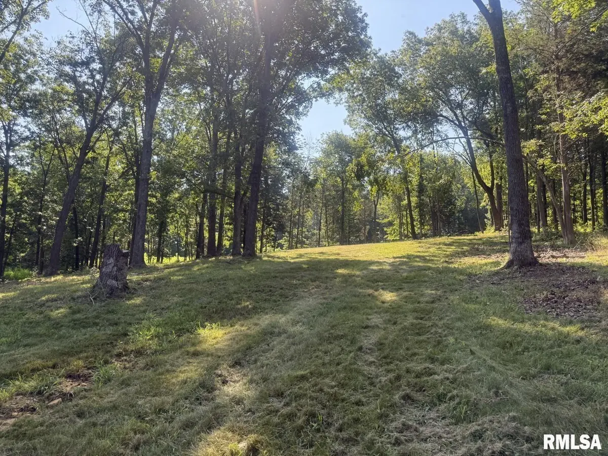 185 Parrish Ridge LN, Goreville, IL 62939