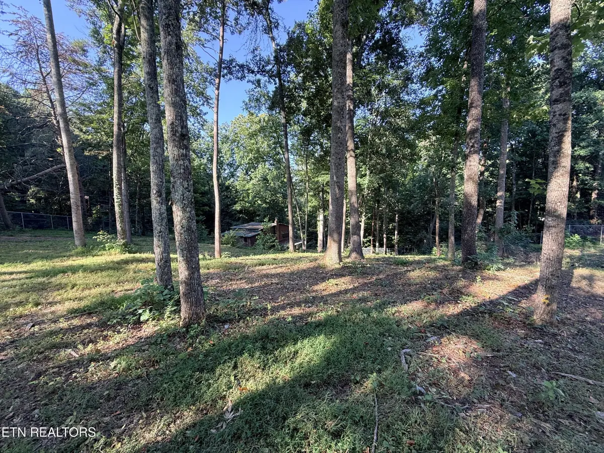1465 Hickory Star Rd, Maynardville, TN 37807