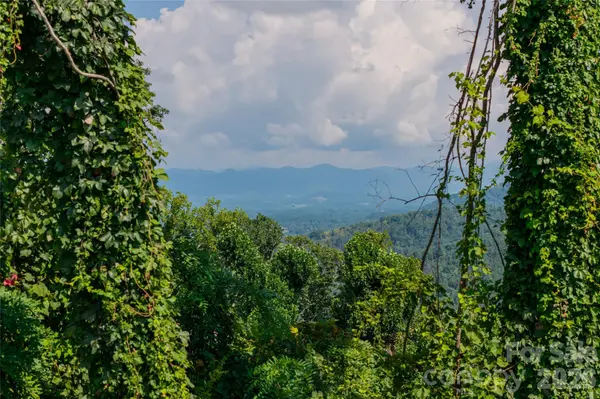 44 Longstreet CT #5, Weaverville, NC 28787