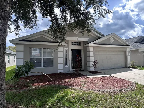 11551 MISTY ISLE LN, Riverview, FL 33579