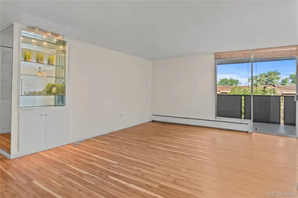 1085 N Lafayette ST #403, Denver, CO 80218