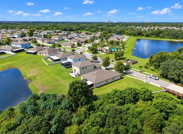 10017 CARAWAY SPICE AVE, Riverview, FL 33578