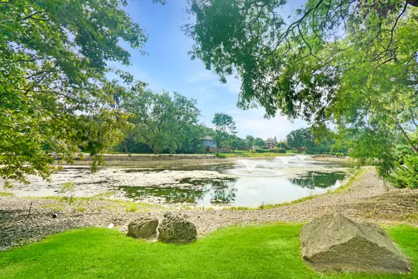 3 Cinnamon Creek DR #3S, Palos Hills, IL 60465