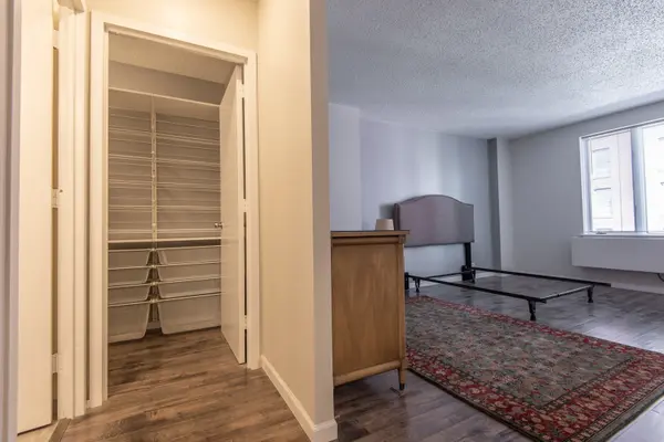 801 S Plymouth CT #417, Chicago, IL 60605