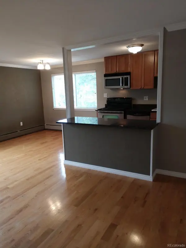 1151 N Marion ST #303, Denver, CO 80218