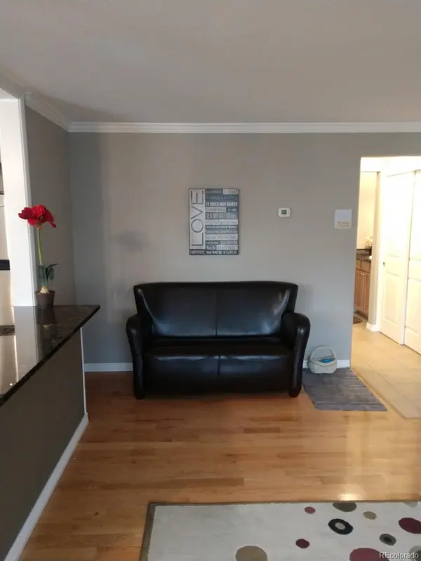 1151 N Marion ST #303, Denver, CO 80218