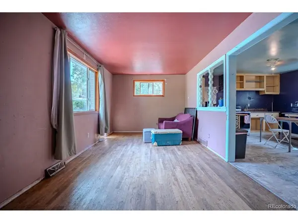 623 Winona, Denver, CO 80204