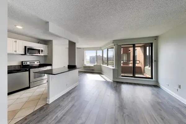 801 S Plymouth CT #1006, Chicago, IL 60605