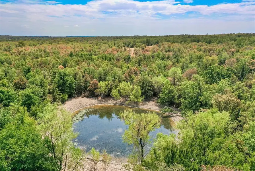 TBD Two Bush Road Road, Perrin, TX 76486