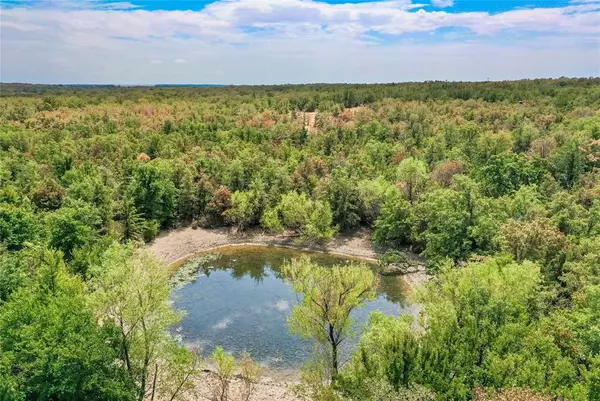 TBD Two Bush Road Road, Perrin, TX 76486