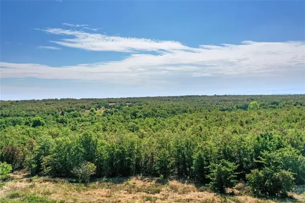 TBD Two Bush Road Road, Perrin, TX 76486
