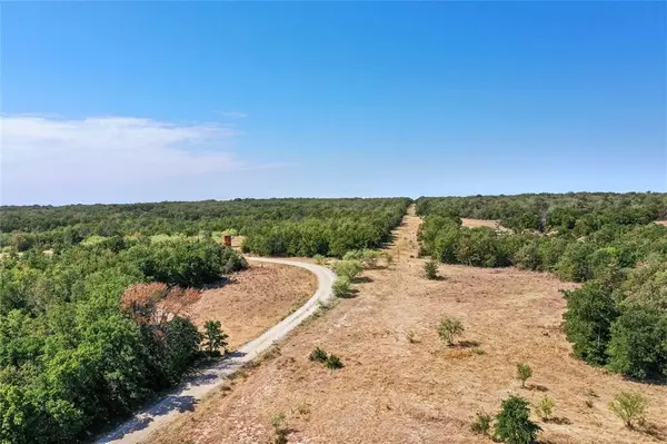 TBD Two Bush Road Road, Perrin, TX 76486